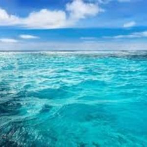 Meet your Posher, Ellen